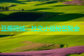 豆瓣同城：社交小组秘密聚会