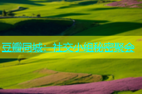 豆瓣同城：社交小组秘密聚会