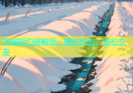 同城陌约破解版：随时约会，轻松交友