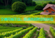 宁德同城平台，快速找到附近的伴侣