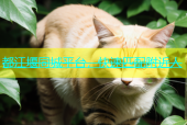 都江堰同城平台，快速匹配附近人