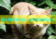 都江堰同城平台，快速匹配附近人