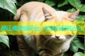 都江堰同城平台，快速匹配附近人