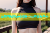 沈阳同城交友QQ群，快速交友平台