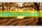 同城炮约平台，真实交友体验