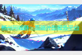 郴州同城群：高端外围服务平台