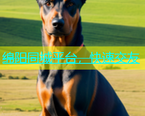 绵阳同城平台，快速交友  第2张