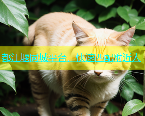 都江堰同城平台，快速匹配附近人  第1张
